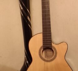 گیتار دیاموند مدل  N240