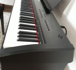 پیانو برگمولر پی 10