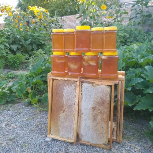 عسل طبیعی با برگ آزمایش