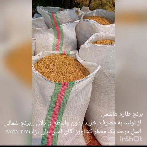 برنج طارم هاشمی اصل  خرید مستقیم از کشاورز