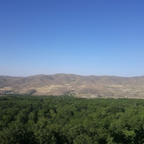 فروش زمین باغ به متراژ 480متر روستای توریستی سنگی ورکانه همدان