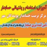 آموزش و استخدام حسابدار شیراز
