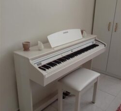 فروش پیانو دیجیتال دایناتون slp50