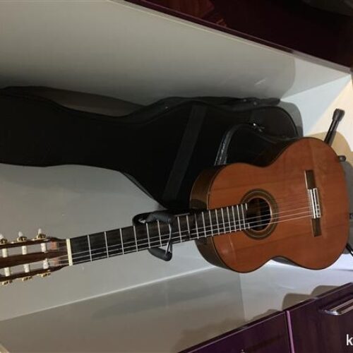 گیتارکلاسیک آریا مدل A 50 C