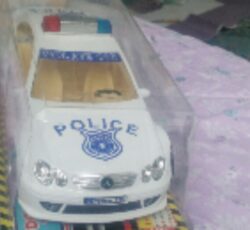 ماشین پلیس 110