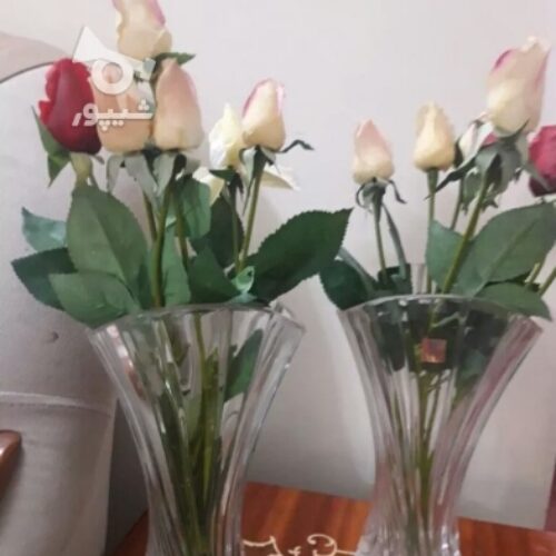 دو عدد گلدان همراه با گل