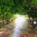باغ شهری ویلایی واقع در شهرک صدرا استان فارس