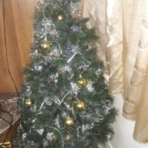 درخت کریسمس دوتیکه خارجی