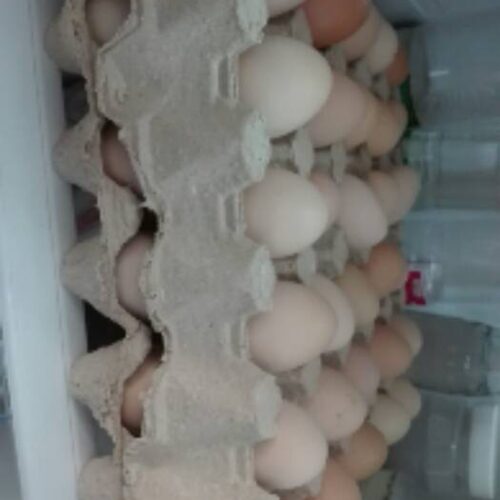 تخم مرغ خودمانی