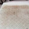 شرکت خدماتی مبل شویی قالیشویی نظافتی فرهنگیان احدی