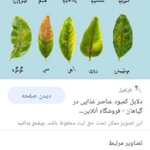 خدمات کشاورزی باغبانی  سمپاشی  گل کاری بیل کاری تبریز