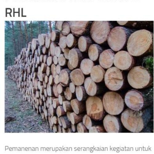 خریدار چوب با بالاترین قیمت