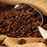 فروش قهوه به صورت عمده با رُست تازه و کیفیت بالا