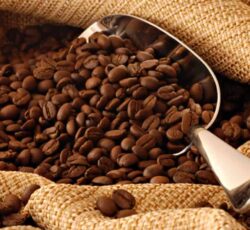 فروش قهوه به صورت عمده با رُست تازه و کیفیت بالا