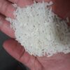 برنج ارگانیک فجر سورت شده