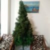 فروش درخت کریسمس  ۲۴۰ سانت