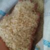 فروش برنج محلی کامفیروز
