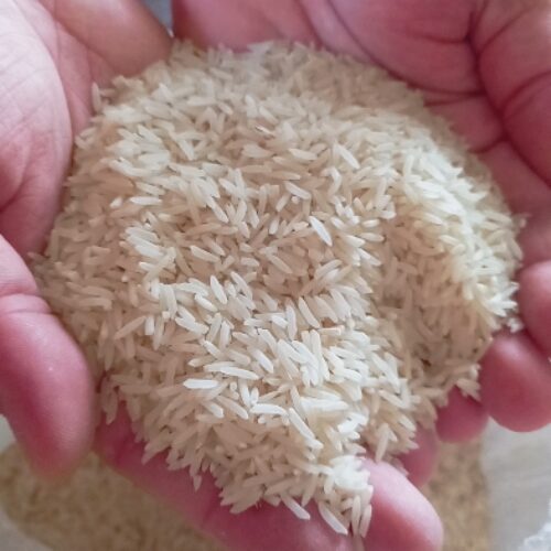 برنج فجر سوزنی درجه یک بوجارشده