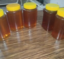 عسل طبیعی ادویه جات تازه خیارشور خونگی همدان برنج هاشمی مایع وپودر زعفران