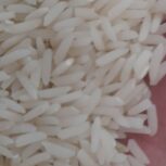 برنج هاشمی مغان