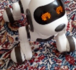 ربات سگ دکستریتی