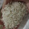 برنج شمال