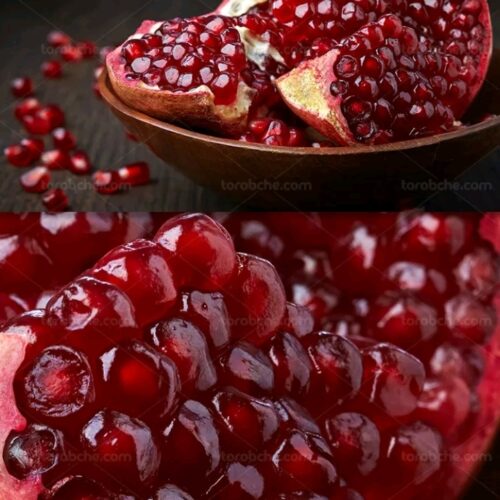 نهالستان سبز سلیمی