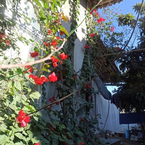 فروش خانه باغ شمال بابلسر