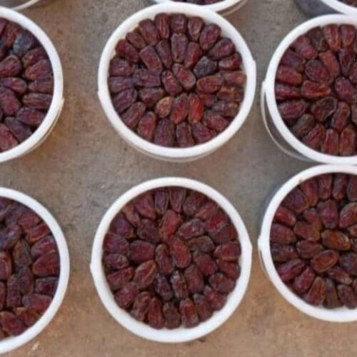 فروش خرما