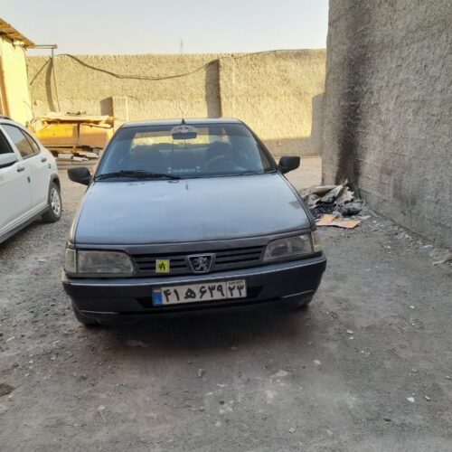 پژو روا دوگانه