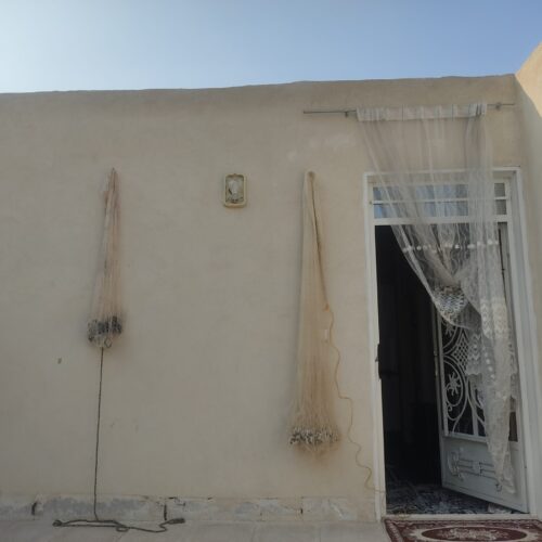 تور ماهیگیری