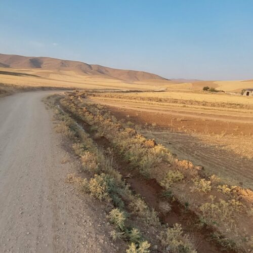 زمین کشاورزی 3500هزار متر در شهر سورشجان چشمه مایک