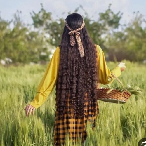 خریدار موهای خانوم ها