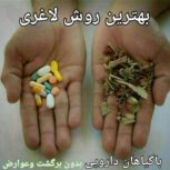 اموزش طب سنتی +مدرک