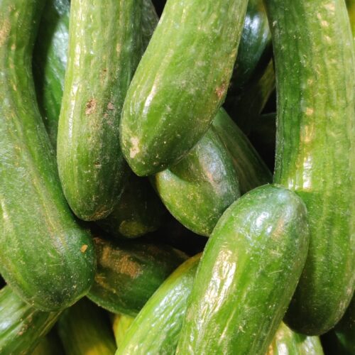 میوه خورده و عمده