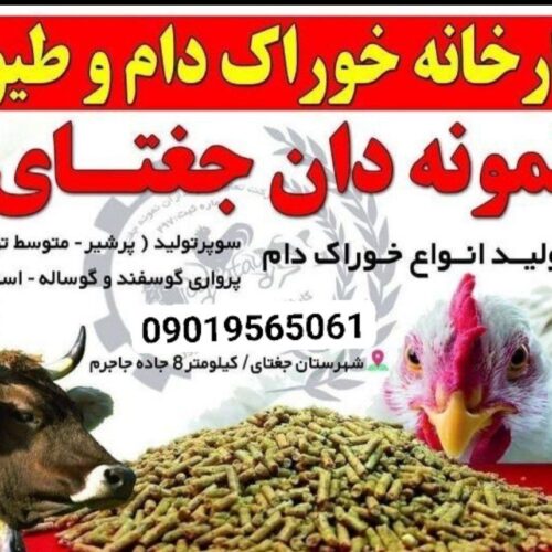 خوارک دام