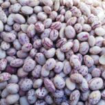 لوبیا چیتی و قرمز بزرگ