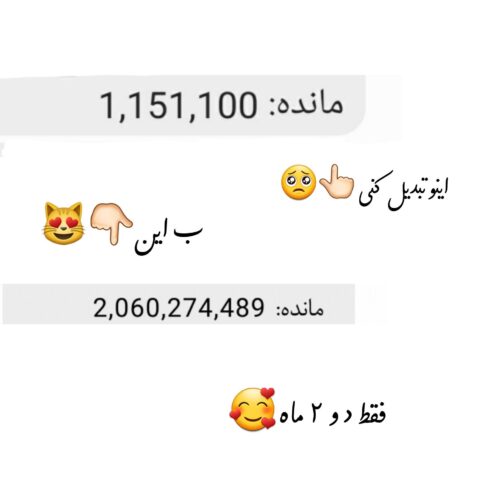 کسب و کار انلاین ادمینی