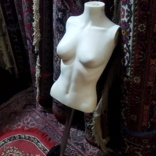 مانکن فروشی.