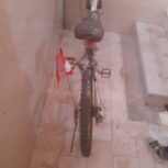 دوچرخه 24