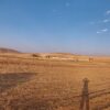 زمین کشاورزی 3500هزار متر در شهر سورشجان چشمه مایک
