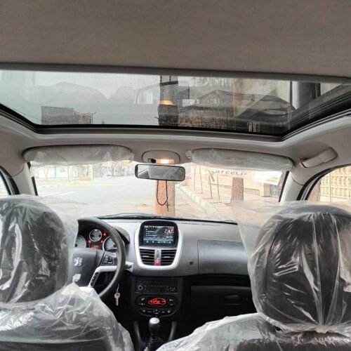 پژو 207پانوراما