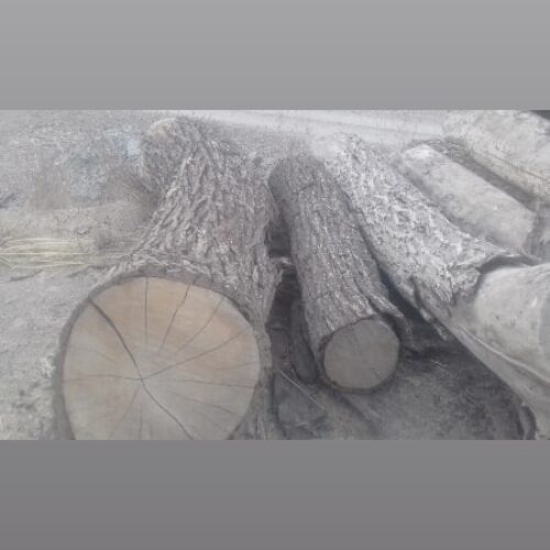چوب فروشی