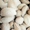 فروش بادام درختی