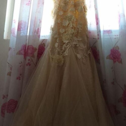 یک عدد لباس مجلسی وچادر عروس