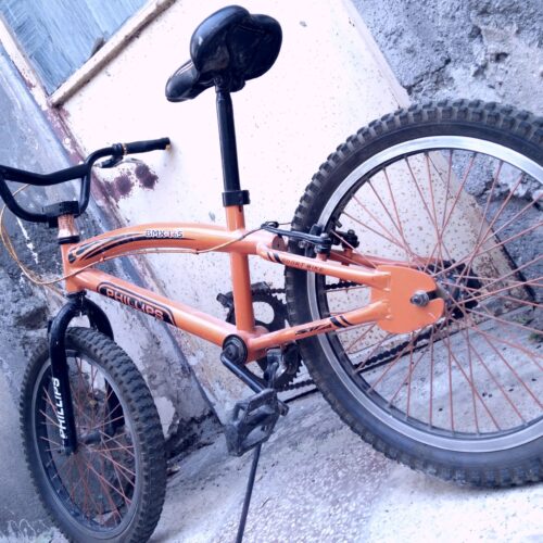 دوچرخه حرفه‌ای بیست