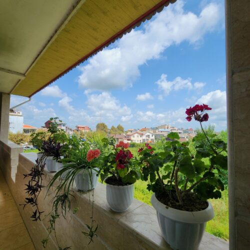 آپارتمان تک واحدی،شخصی ساز،گیلان