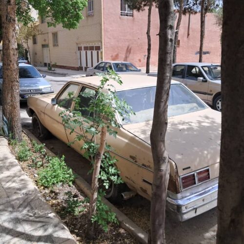 شورولت نوا سالم