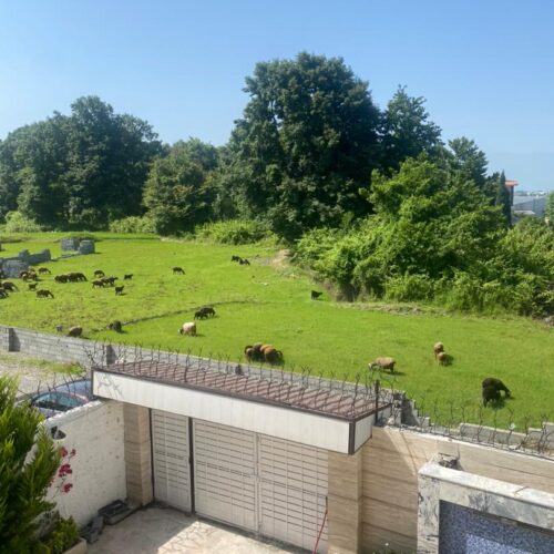 سلام خانه ویلایی نوساز و کلید نخورده