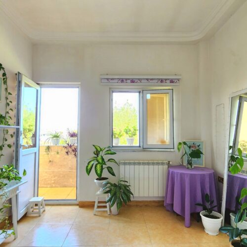 آپارتمان تک واحدی،شخصی ساز،گیلان